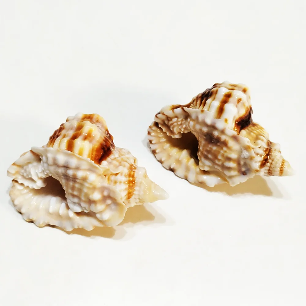 Buy Kf s ef c b f a c cdf bed fc l in America.