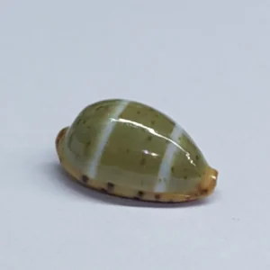 Buy Kf s dc fc ca cba e b f b in America.