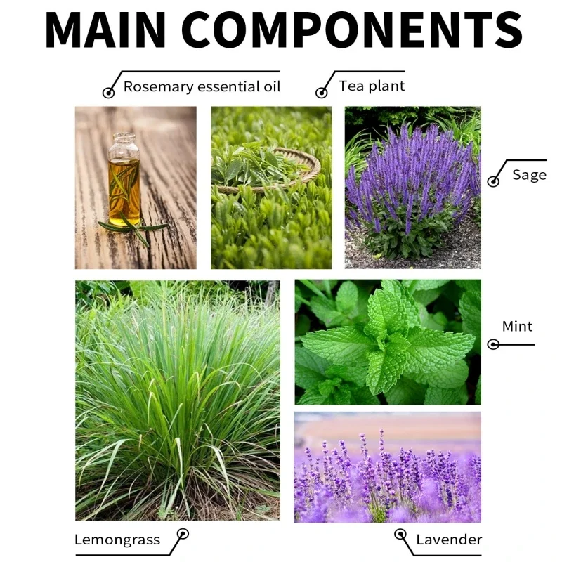 Buy Kf s a a b b e a d f j in America.