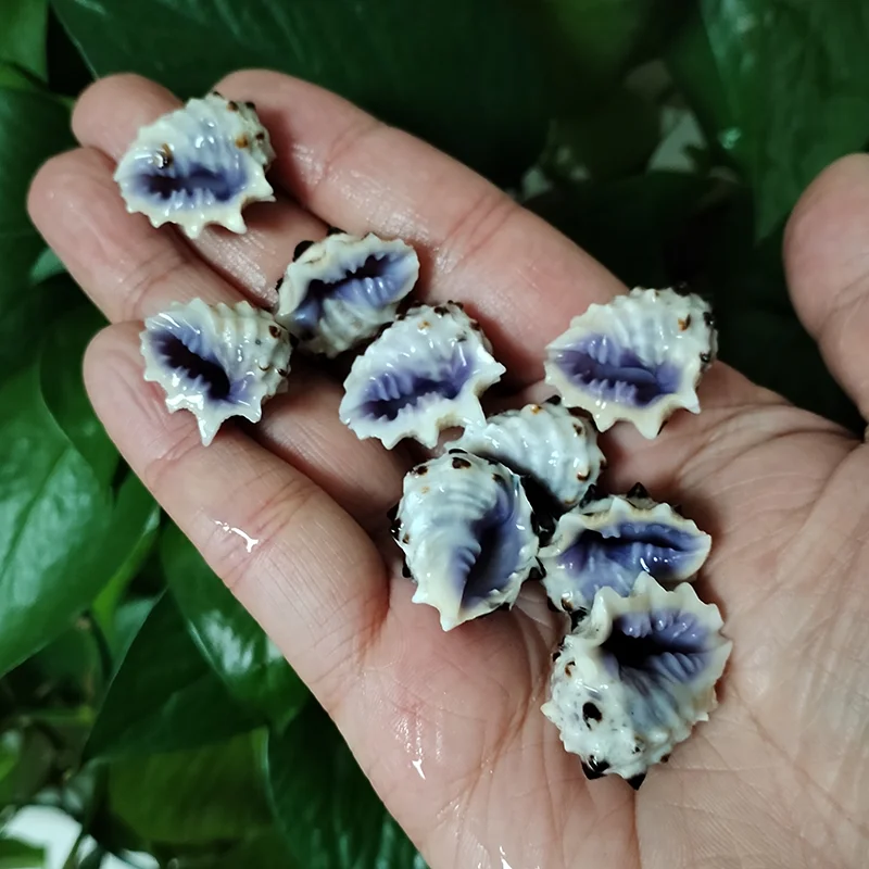 Buy Kf s e ad bf c b c a c be y in America.