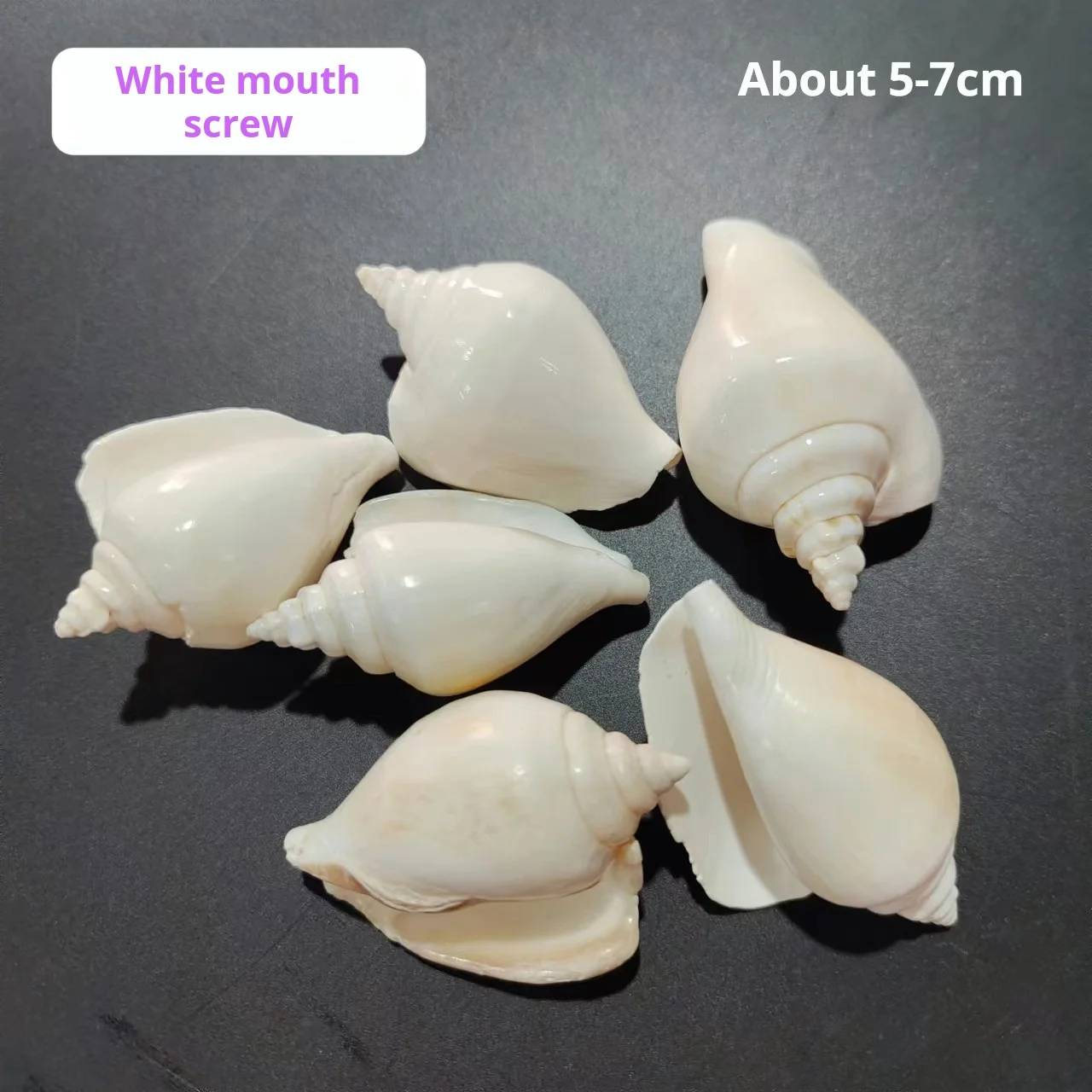 Buy Kf sa b b e b e cf d in America.