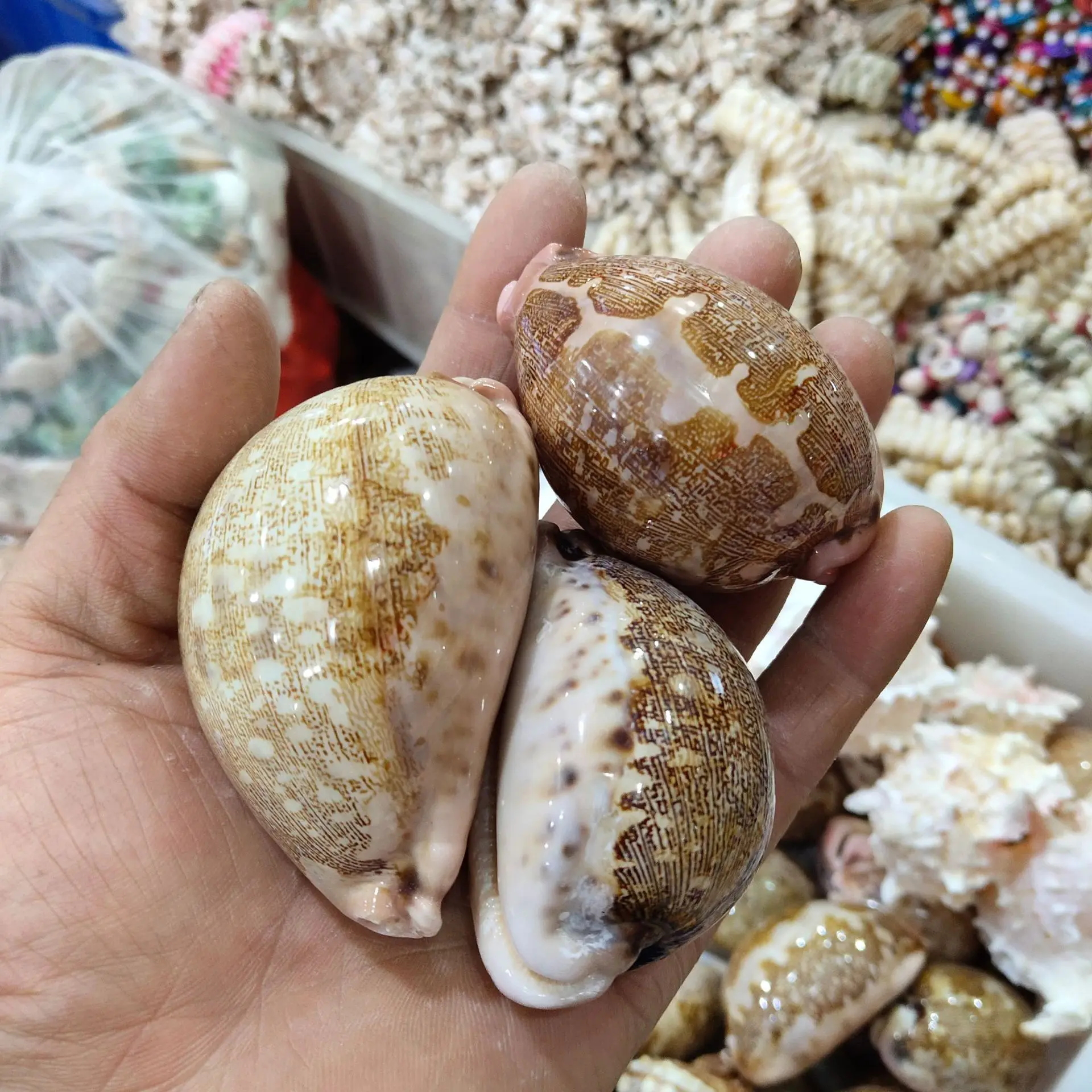 Buy Kf sfd ed d d ddb aa cj in America.